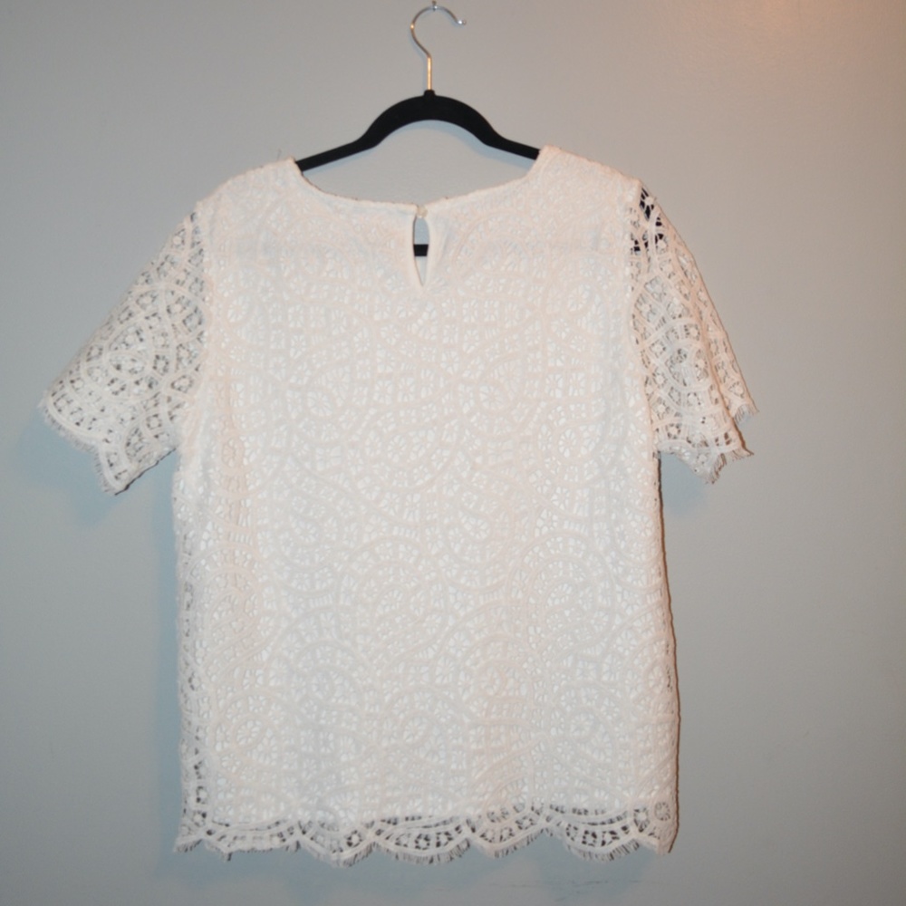 Short Sleeve Lace Blouse